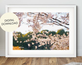 Sakura Print, Kirschblüten Foto, Tokyo digitaler Download, große druckbare Blume, Japan Wandkunst, Natur Poster, für sie