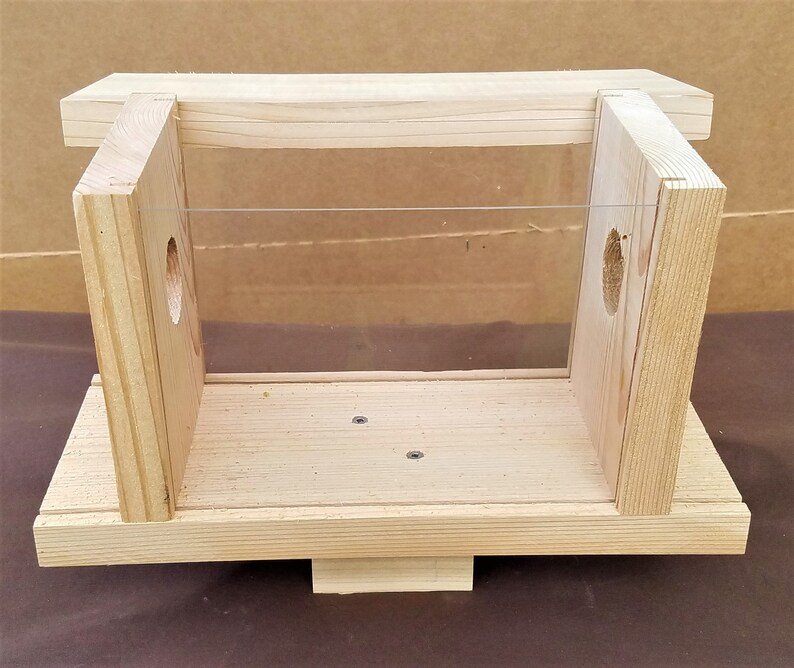 Mealworm Bluebird Feeder | Etsy