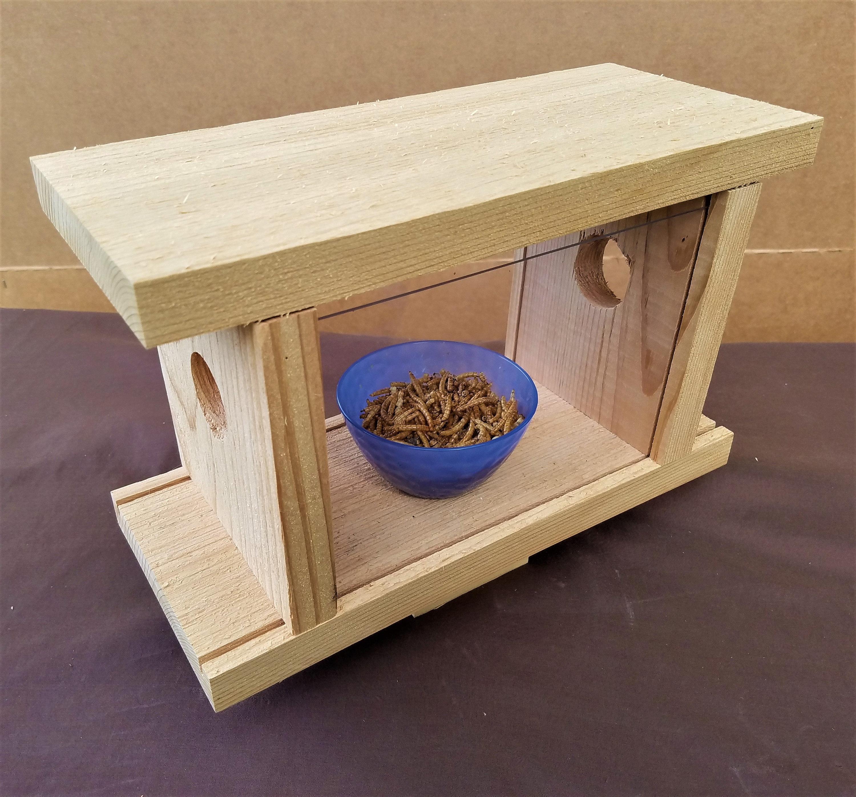 Mealworm Bluebird Feeder Etsy