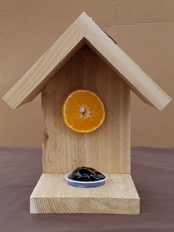 Oriole Bird Feeder Etsy