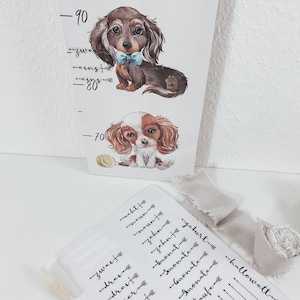 Meilensteinsticker 0-10 Jahren Komplettset, Messlatte Kindermesslatte Aufkleber , Vinylaufkleber, Sticker, Pfeile für Messlatte