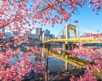 Pittsburgh Photograph - Pink Blossoms Surround the Warhol Bridge - Pittsburgh Art - Pittsburgh Metal Prints - Pittsburgh Photo Prints