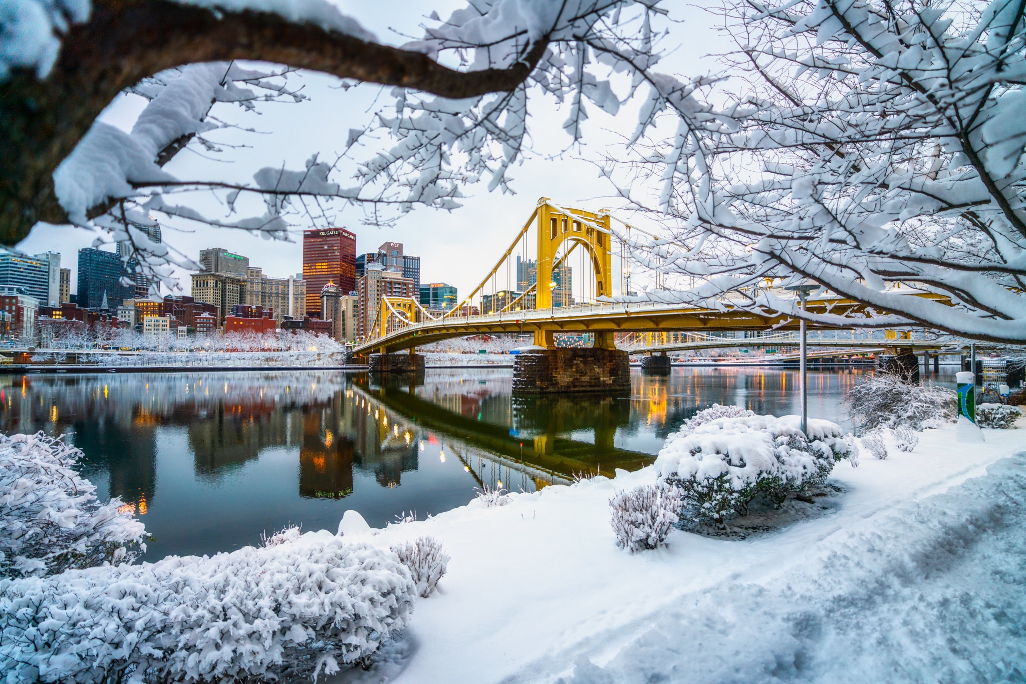 Pittsburgh Photo Snowcovered Trees and the Andy Warhol Bridge