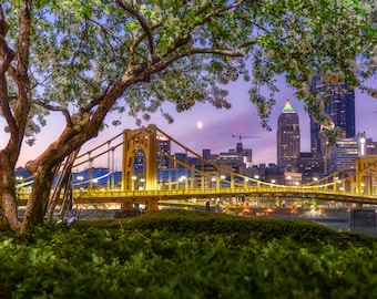 Pittsburgh Photo Print - Warhol Bridge Framed by Blossoming Tree - Pittsburgh Metal Print - Pittsburgh Canvas Wall Art