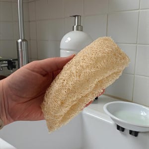 May include: A natural loofah sponge, light beige in colour, with a textured, porous surface. The loofah is held near a white sink and a white ceramic soap dispenser.