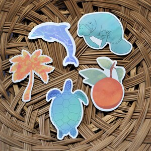 Ozean-Aufkleber-Pack, Florida Sticker Pack, Satz von 5 Aufkleber