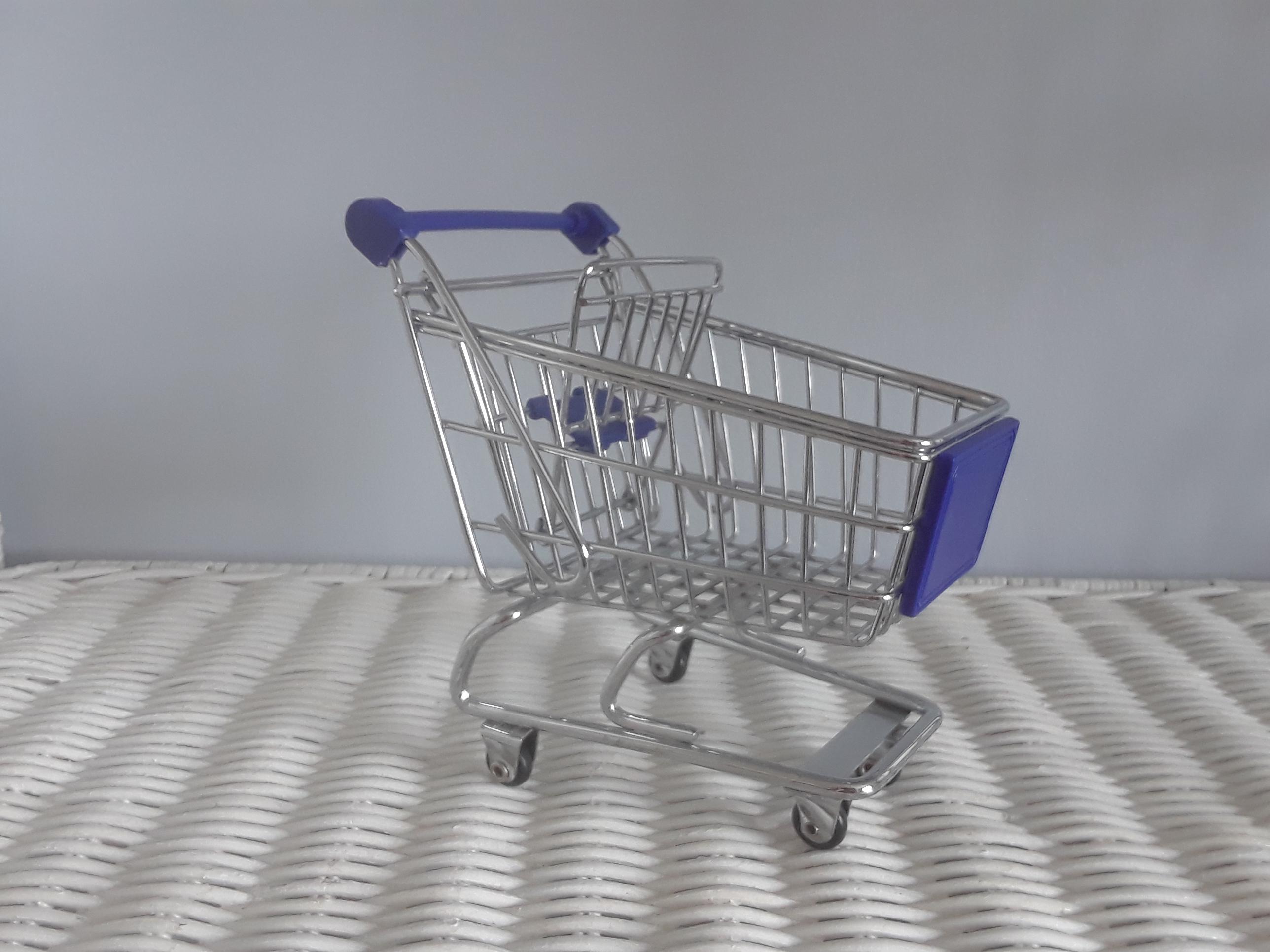 Barbie Shopping Cart Etsy Canada