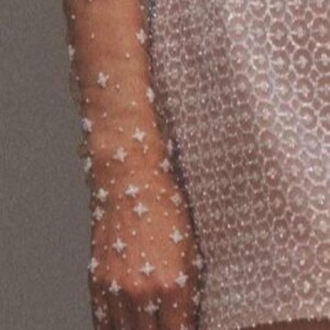 May include: A pair of sheer, white gloves with a star pattern. The gloves are made of a delicate fabric and have a subtle shimmer.