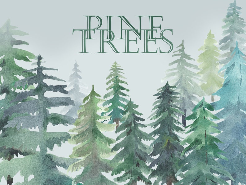 Spruce tree clip art money tree clipart stunning free