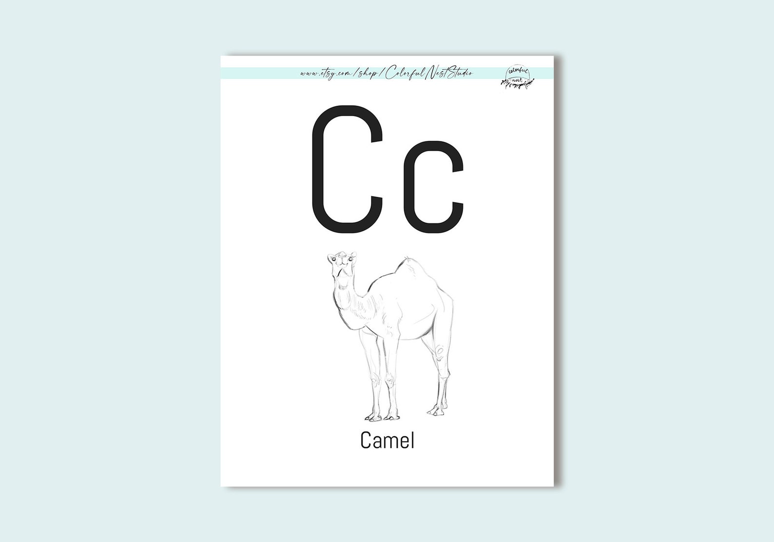 Sketchy Camel Coloring Page Printable JPEG Letter C Coloring  Etsy