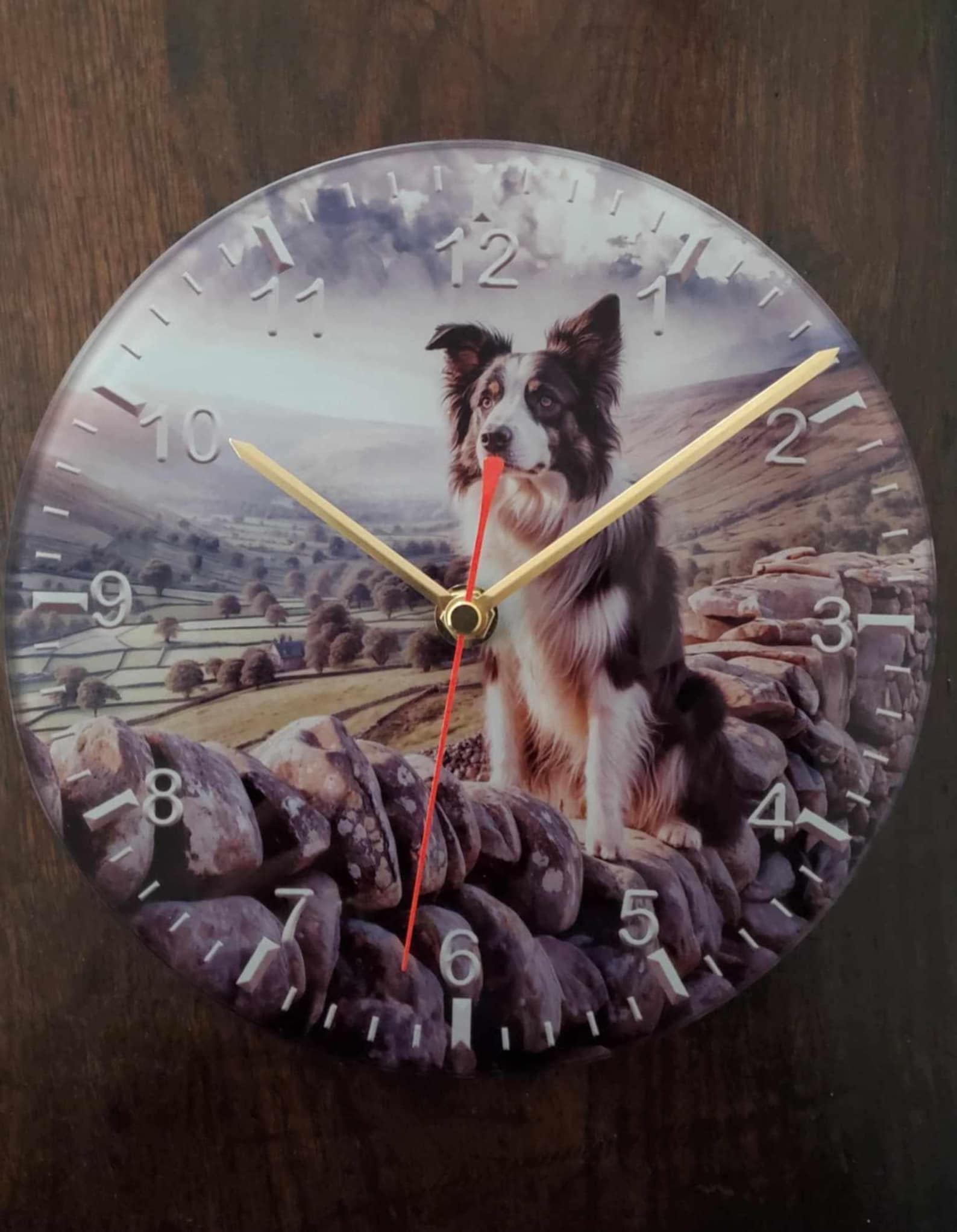 Border Collie GLASS Quartz CLOCK. Wall Mounted. 20cm Round - Etsy