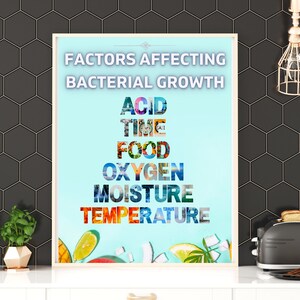 Food Safety Poster, Factors that Affect Bacterial Growth, Restaurant Poster, Food Safe Poster, Safety Sign, Cooking Poster, Food Safety