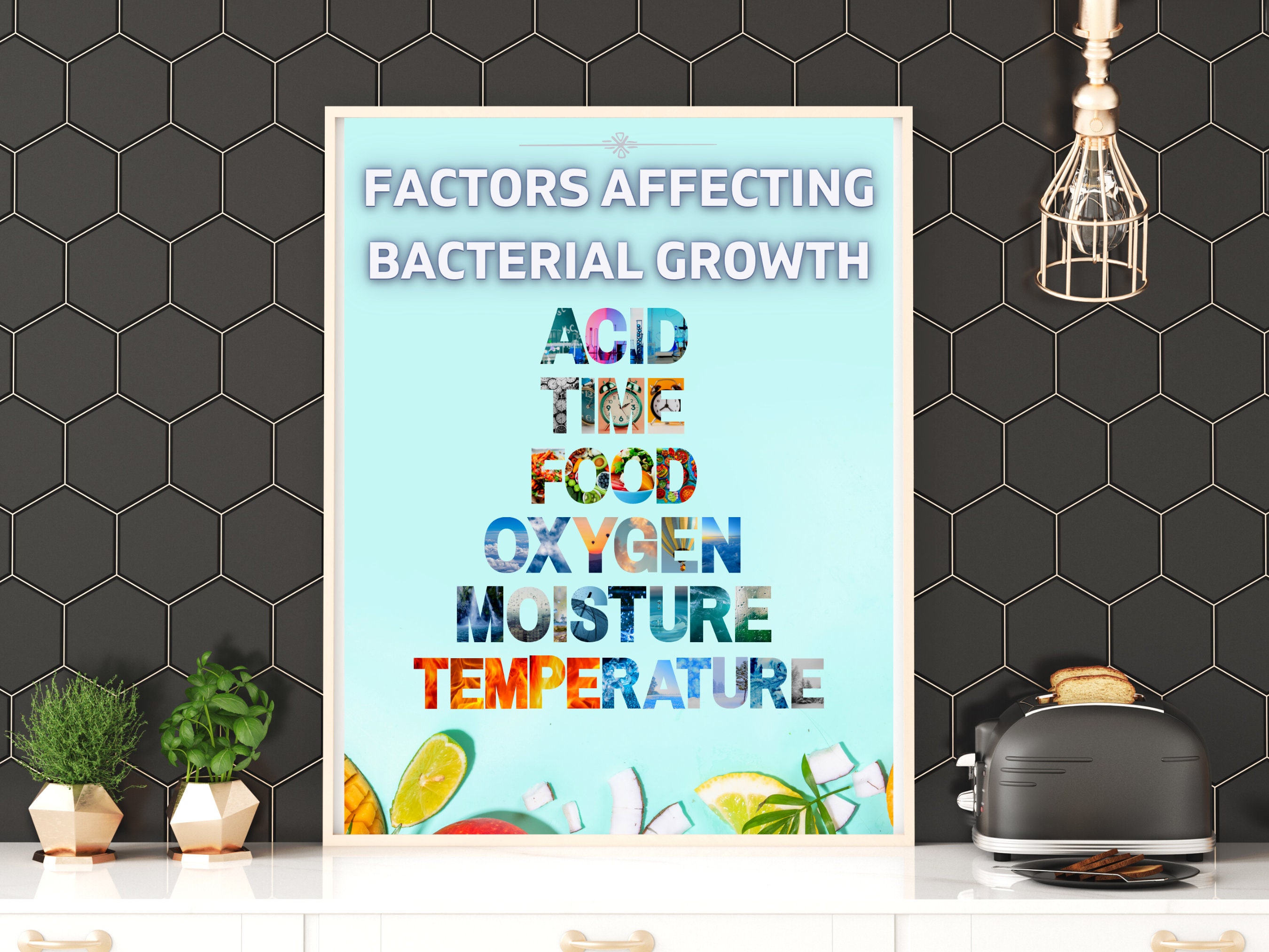 Food Safety Poster Factors That Affect Bacterial Growth Etsy