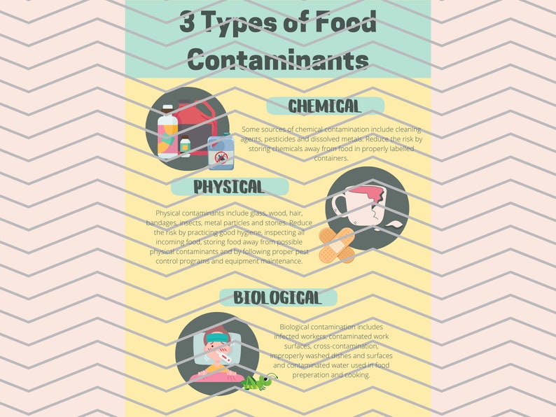 Three Types of Food Contaminants Safety Poster Food Safe Etsy
