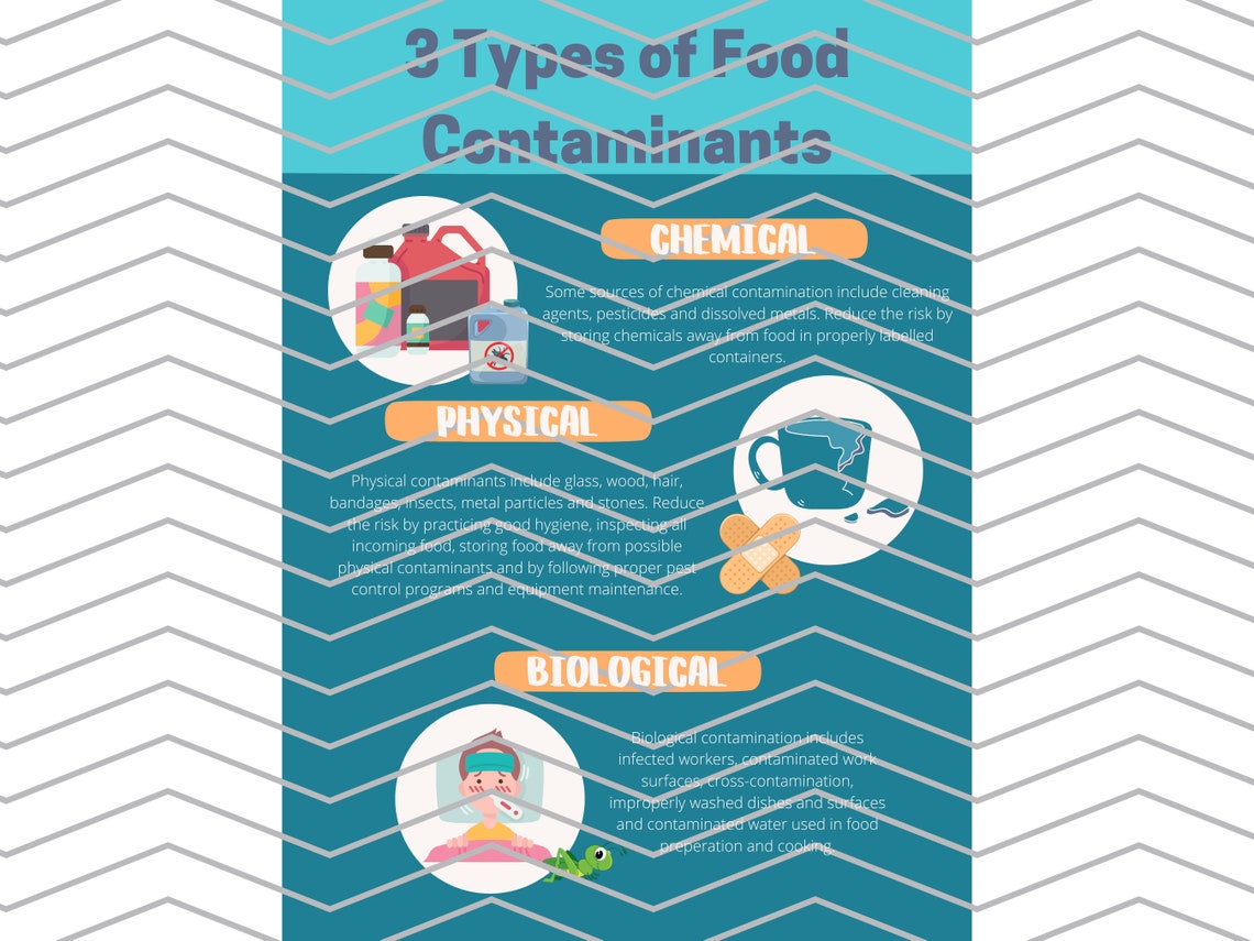 Three Types of Food Contaminants Safety Poster Food Safe Etsy