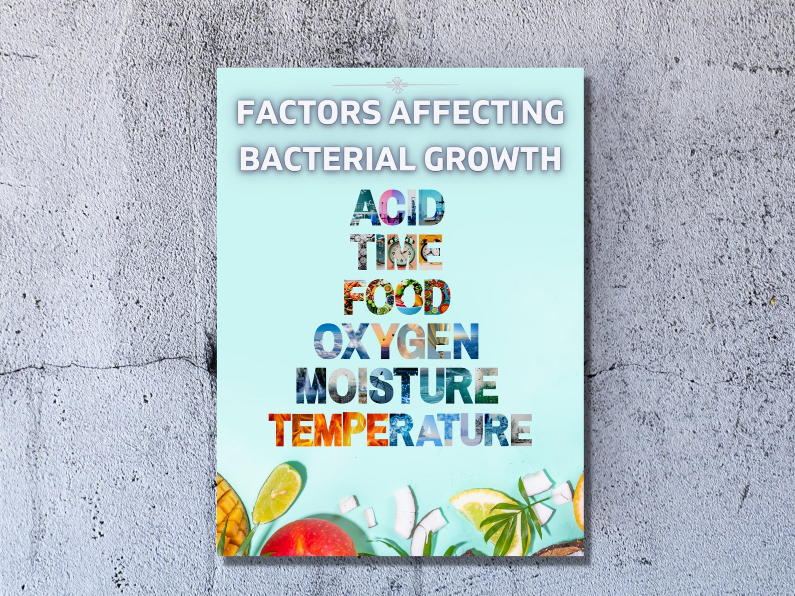 Food Safety Poster Factors That Affect Bacterial Growth Etsy