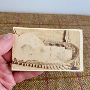 Rare Victorian Post Mortem CDV photograph of a deceased child in a basket, hands clasped.