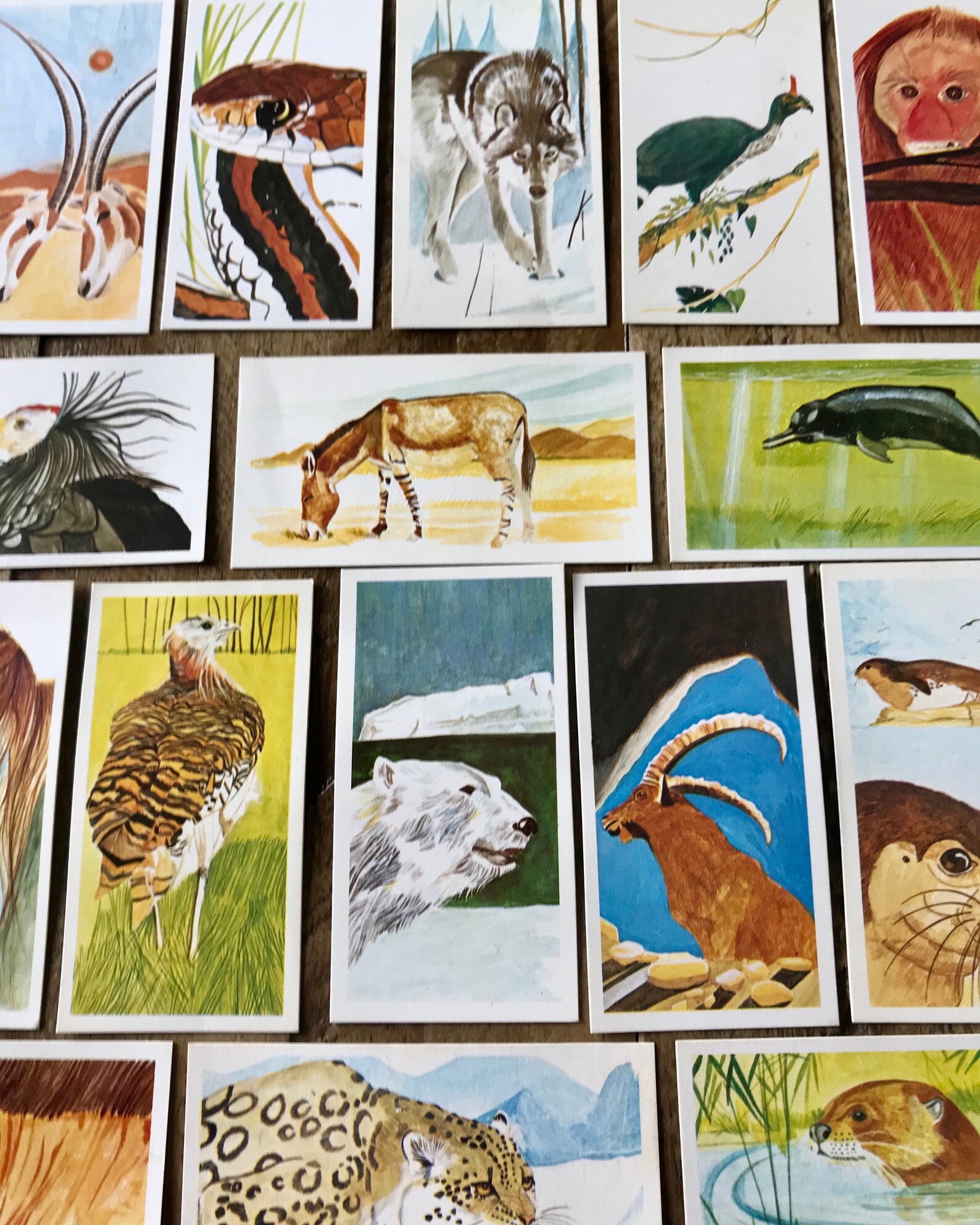 A Full Collection of 40 Vintage Tea Cards. Collectors Cards. Etsy