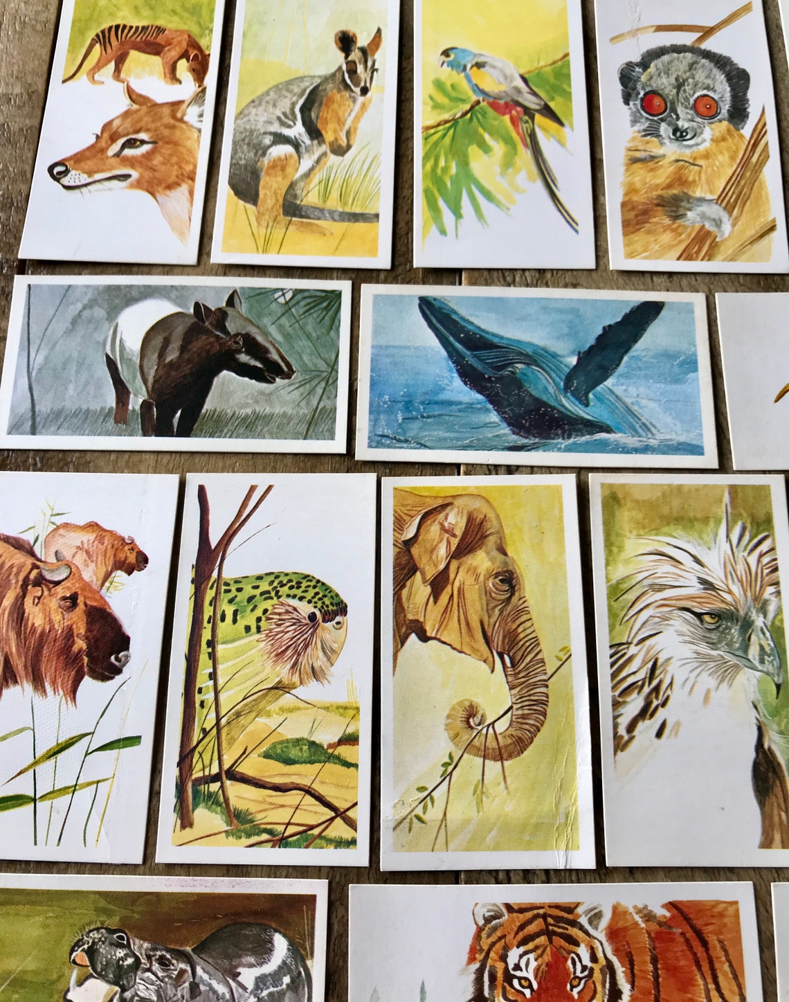 A Full Collection of 40 Vintage Tea Cards. Collectors Cards. Etsy