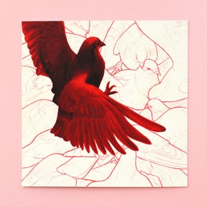 Auf der Suche nach Krümel - Taube Kunstdruck 18 x 18 cm (ca.)