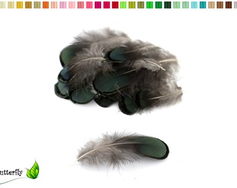 20 Lady Amherst pheasant feathers approx. 4-8 cm green