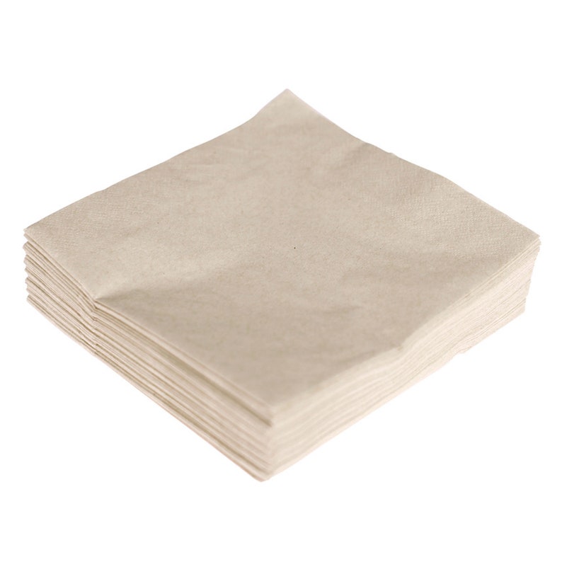 Paper napkins 33 x 33 cm 2-ply 50 pieces Eco Recycled Beige image 1