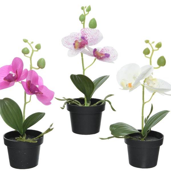 Orquídea artificial en maceta 25 cm blanco / rosa 1 pieza surtida