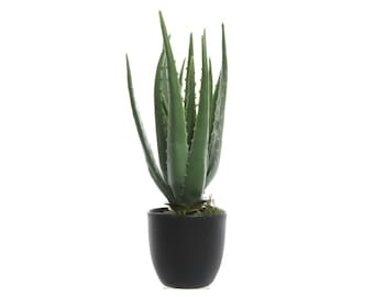 Kunstpflanze Aloe Vera im Topf 35cm grün