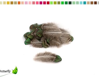 20 peacock feathers approx. 4-8 cm gold-green