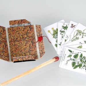 Kit Printie Herbal Herbarium in 1:12 image 2