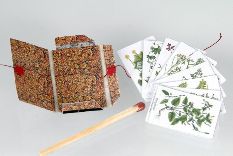 Kit Printie Herbal Herbarium in 1:12 image 2