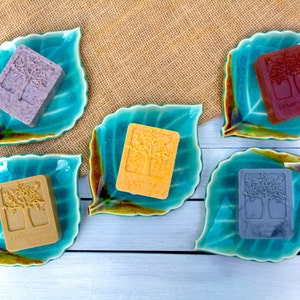 Stardust Kit Eco Friendly Soap Making Kit Honey, Sweet Orange & Turmeric White Base SLS/SLES Free. Cruelty Free Gift Ideas. image 4
