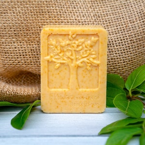 Stardust Kit Eco Friendly Soap Making Kit Honey, Sweet Orange & Turmeric White Base SLS/SLES Free. Cruelty Free Gift Ideas. image 3