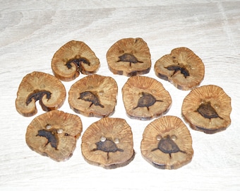 Large 10 Handmade oak wood Tree Branch Buttons , accessories ( 1,5" diameter x 0,24" thick)