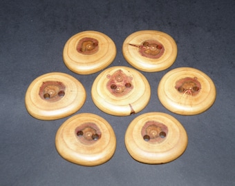 Large 7 Handmade plum wood Tree Branch Buttons , accessories (1,57" diameter x 0,24" thick)