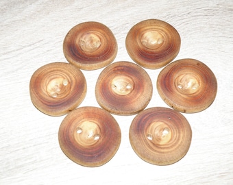 Large 7 Handmade wood Tree Branch Buttons , accessories (1,57" diameter x 0,28" thick)