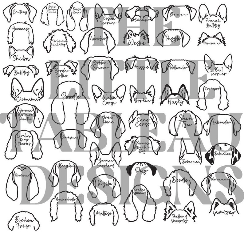 May include: A black and white line art illustration of 36 different dog breeds. Each breed is represented by a simple outline of the dog's head, with the breed name written below.