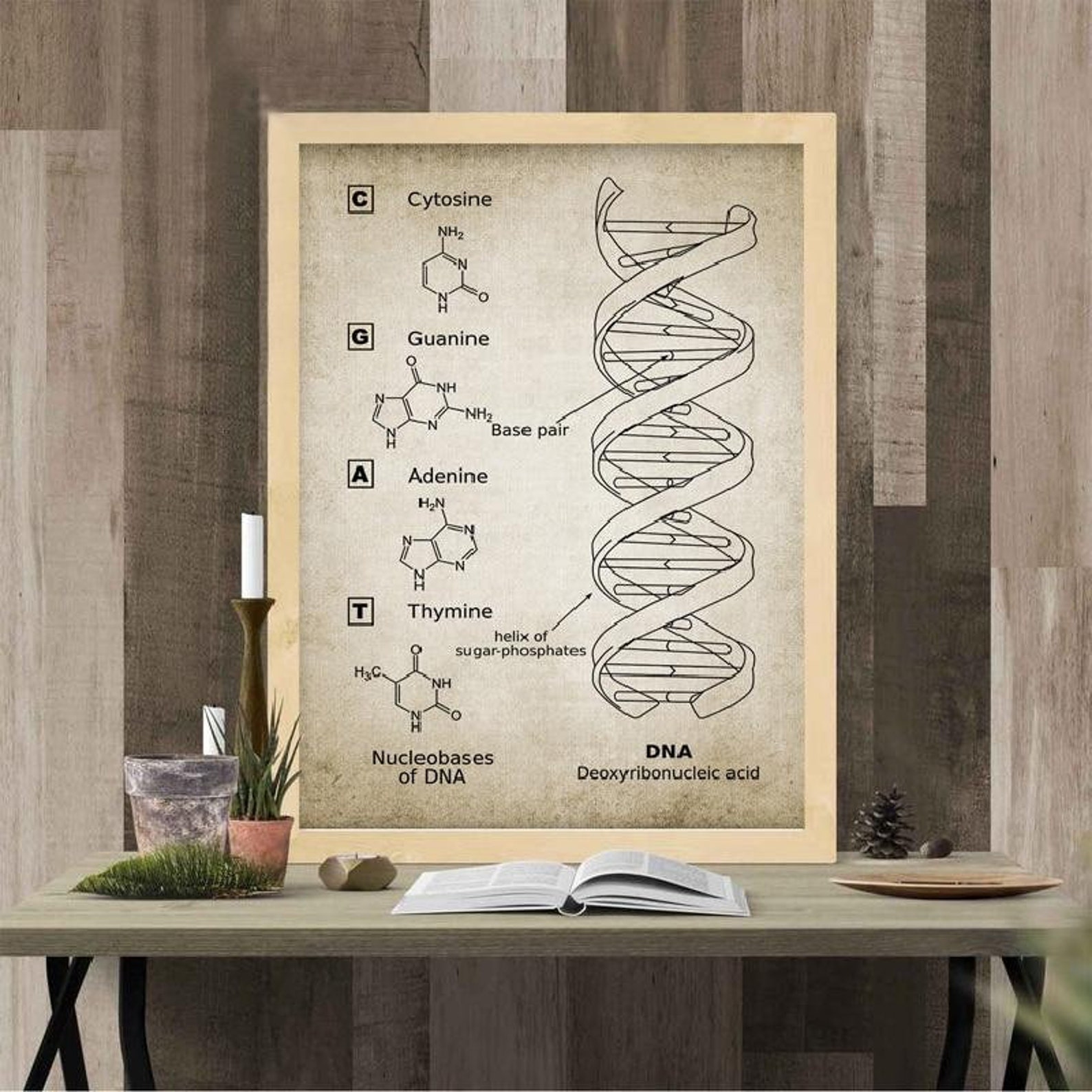 Biochemistry Art Posters DNA Blueprint Art RNA Genetic Code | Etsy