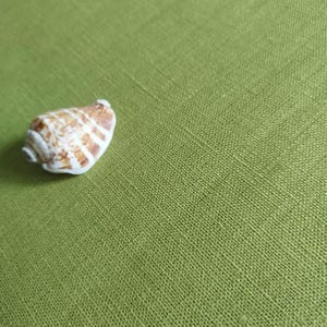 Könnte beinhalten: Eine Muschel mit braunen und weißen Streifen liegt auf einer strukturierten, grünen Oberfläche. Die Spiralform und die natürlichen Farben der Muschel kontrastieren mit dem einfarbigen Hintergrund. Das Bild erinnert an das Meer und die Natur.