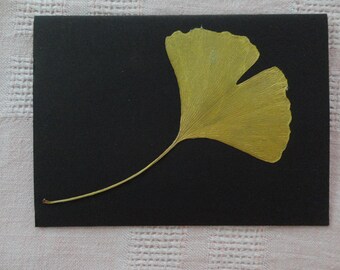 Beileidskarte Ginkgo