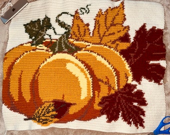 Crochet Pattern - Fall Pumpkin Pillow