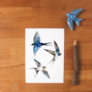 Andorinha // swallow A6 postcard // animal card, bird print image 3