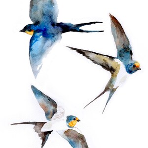 Andorinha // swallow A6 postcard // animal card, bird print image 2