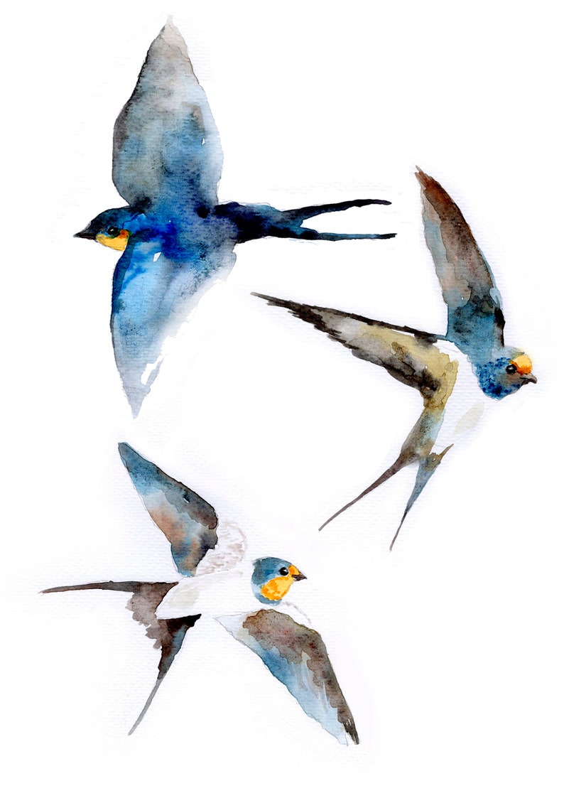 Andorinha // swallow A6 postcard // animal card, bird print image 2