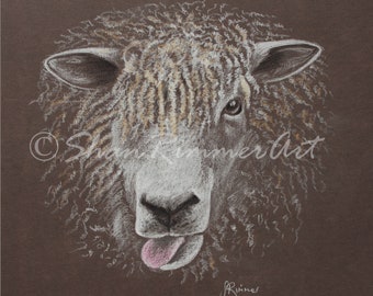Limited edition Wildlife Print from original pastel drawing- Cheeky Sheep