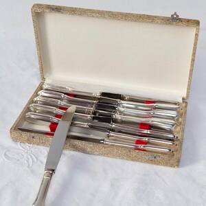 Lot De 6 Couteaux Ercuis Louis XV - Métal Argenté, Lames Inox - Art De La Table