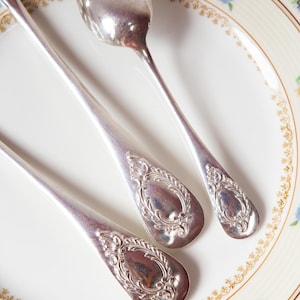 Può includere: Primo piano di tre cucchiai d'argento con manici ornati, appoggiati su un piatto bianco con bordo floreale. I cucchiai presentano un design classico e vintage, e il piatto ha un motivo delicato e colorato.
