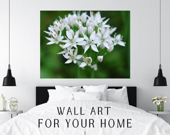 White Flower Photo, Elegant Floral Print Wall Art Digital Download