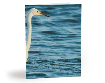 Snowy Egret in the Pacific Ocean Greeting Cards for All Occasions (8, 16, and 24 pieces)