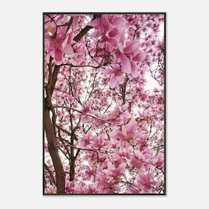 Metallgerahmter rosa Magnolienbaum Poster - Serene Flower Wandkunst und Wohnkultur